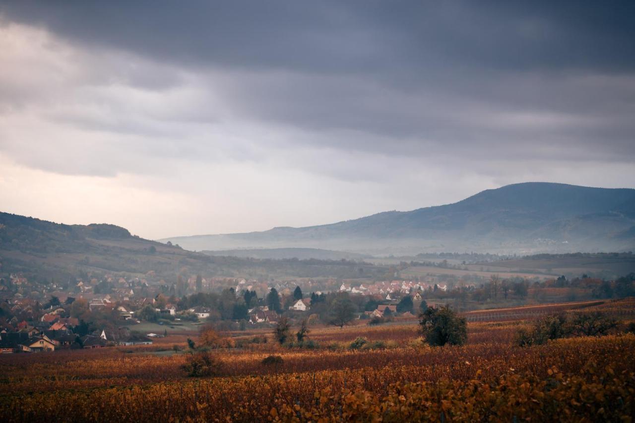 Le Rosenmeer - Restaurant, Au Coeur De La Route Des Vins D'alsace Hotel 3*
